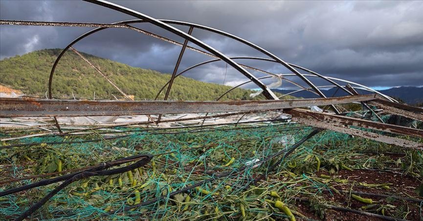 TARSİM çiftçileri afetlerin zararlarına karşı koruyor