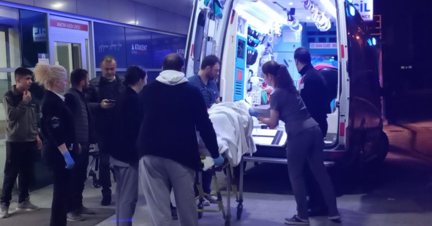 Kayınpeder, damadını ve kardeşini vurdu