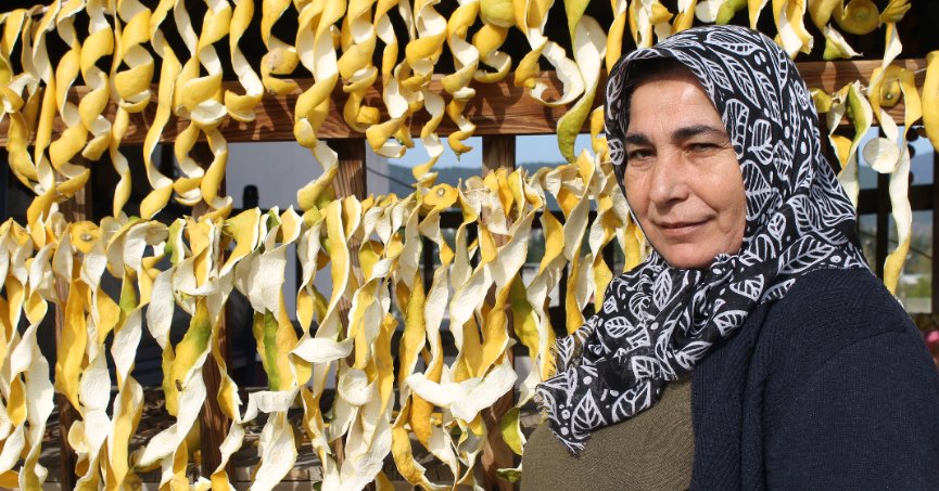 Dalından kilosu 30 kuruş, kabuğu 17 lira