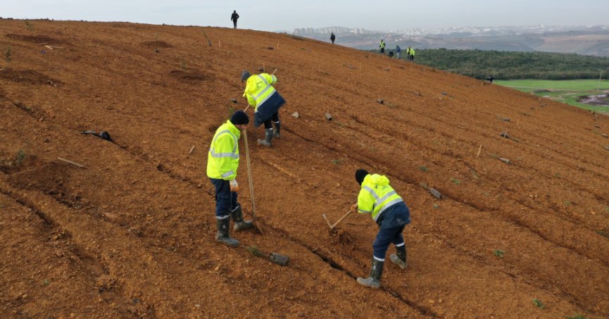 Geleceğe 8 bin ağaçlık nefes
