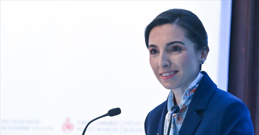 ‘Türk lirasına geçiş, hedeflere uygun şekilde devam ediyor’