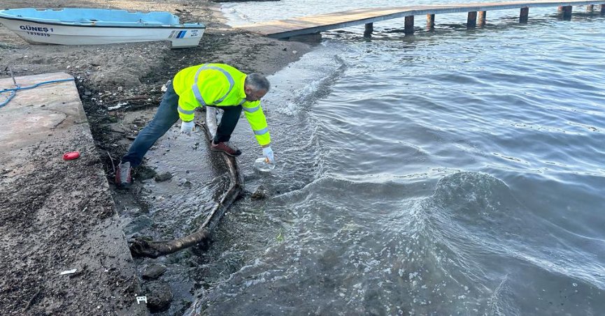 Denizde oluşan kirliliğe ilişkin inceleme başlatıldı