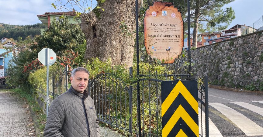 300 yıllık anıt ağacın dikkat çeken hikayesi