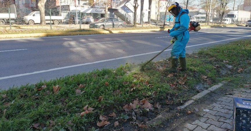 Yeşil örtüye bakım yapıldı