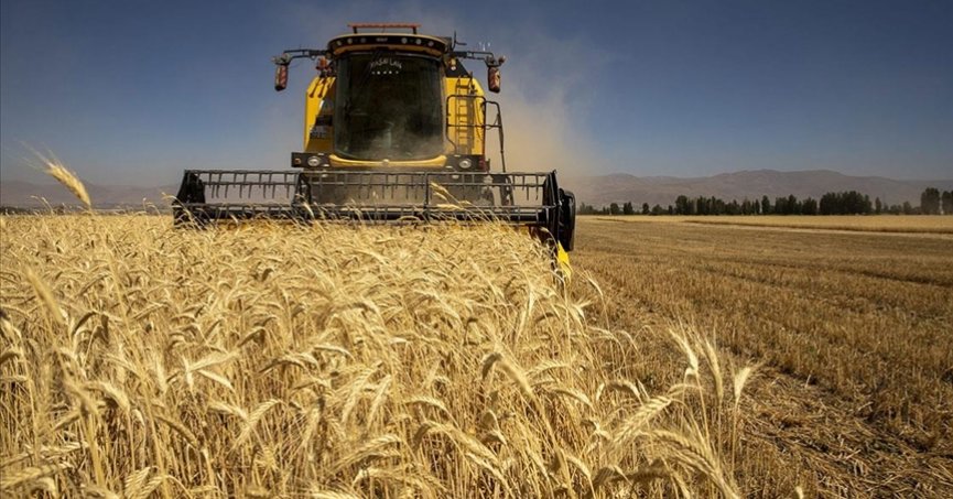 Tarım-GFE yıllık yüzde 40,11 arttı