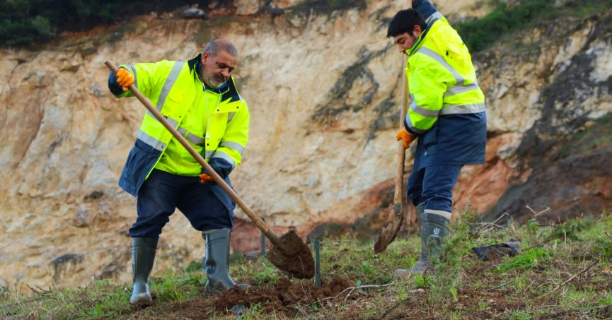 Yazlık dolgu alanına bin 500 fidan dikildi