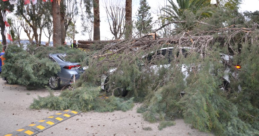 Fırtına hayatı olumsuz etkiledi
