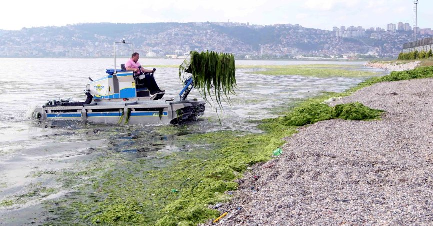 Dere, deniz ve kıyılardan 49 kamyon katı atık