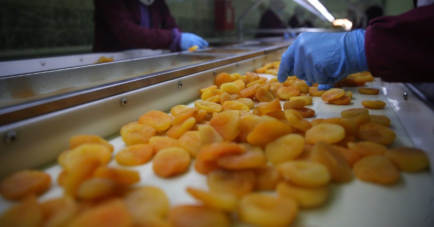 Malatya’da kayısı yüz güldürdü