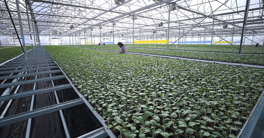 Tarıma dayalı yatırımlarda hibeye esas proje tutarı üst limitleri yükseltildi