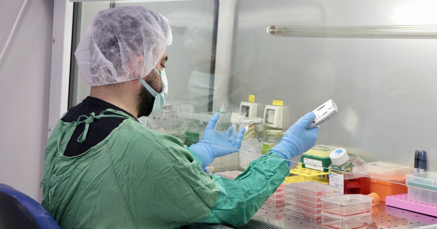 KOÜ’de koronavirüs için antikor üretildi