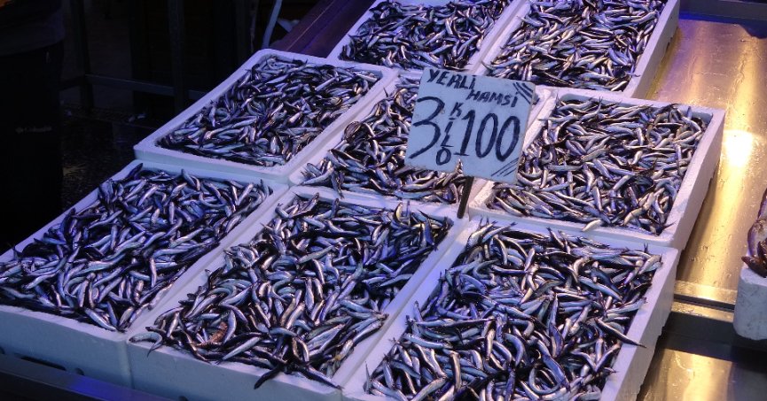Hamsi ihracatından iki yılda 25 milyon dolar döviz geliri