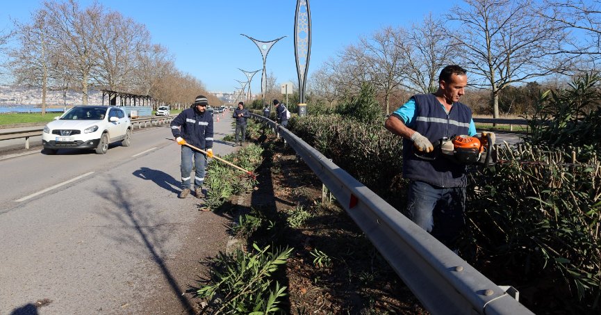 Ömer Türkçakal’daki ağaçlara kış bakımı