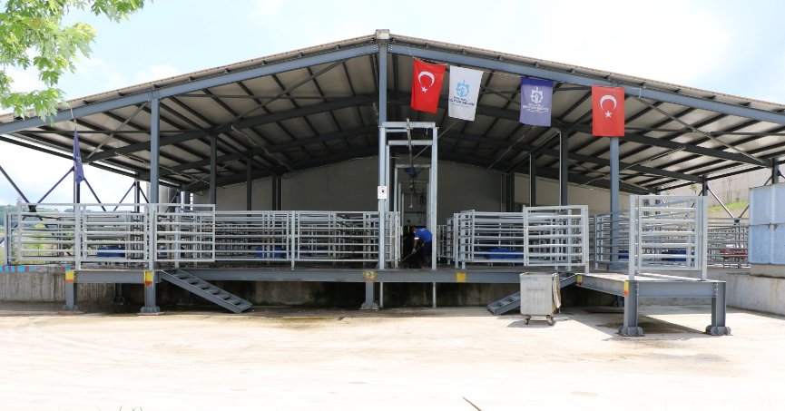 Büyükşehir mezbahası ile sağlıklı ete ulaşım