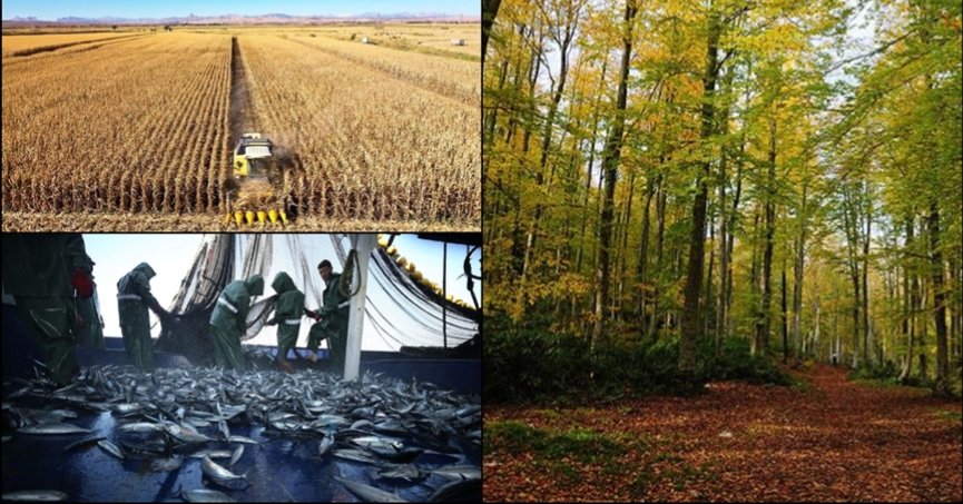 Birleşme ve devralmalarda ‘tarım, ormancılık ve balıkçılık’ sektörü önde