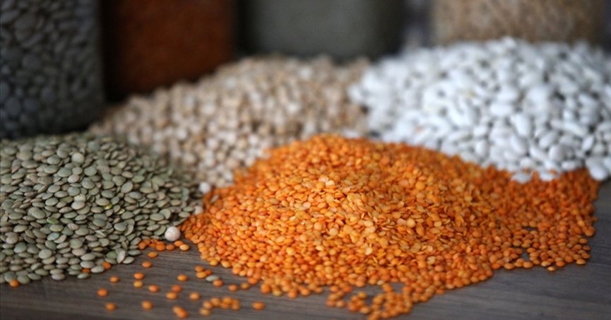 ‘Yağlı tohum üretiminde artış öngörülüyor’