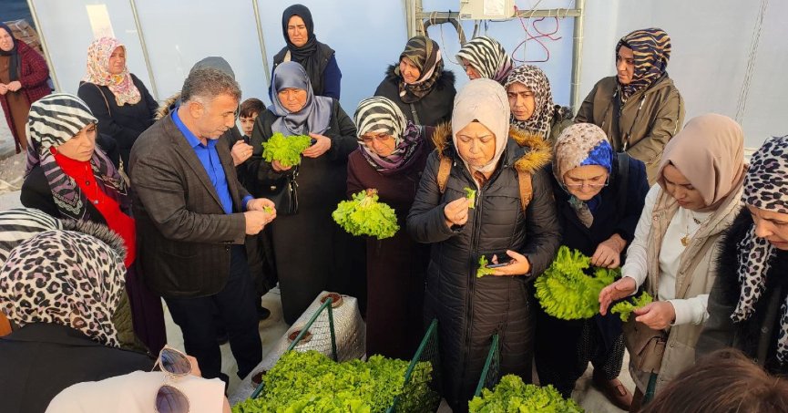 Topraksız tarım projesine kadın çiftçilerden yoğun ilgi