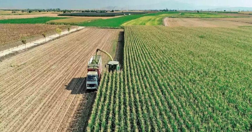 TÜİK genel tarım sayımına başladı