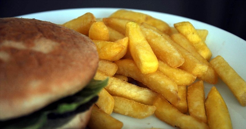 Fast food kızartma yağları denetlenecek