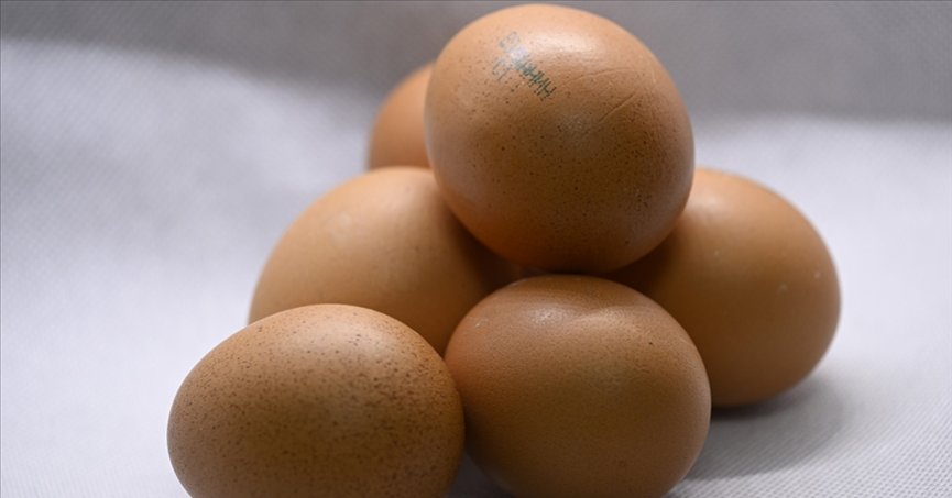 Rusya, Türkiye’den 1,5 milyon yumurta ithal etti