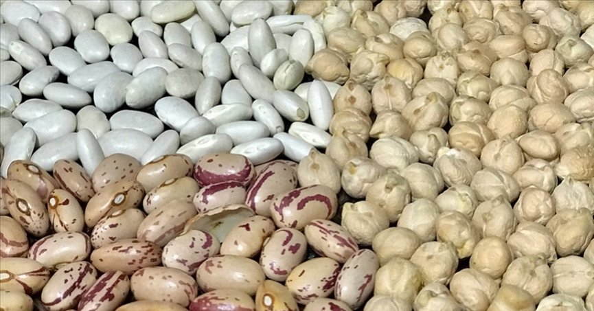 Hububat, bakliyat ve yağlı tohumda Ege’den 1,2 milyar dolar ihracat hedefi