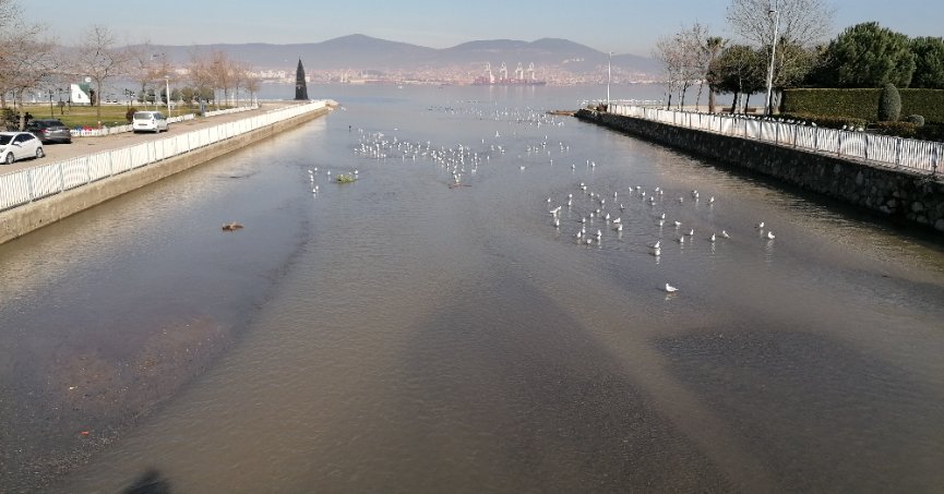 Dere temizliği etkisini gösterdi