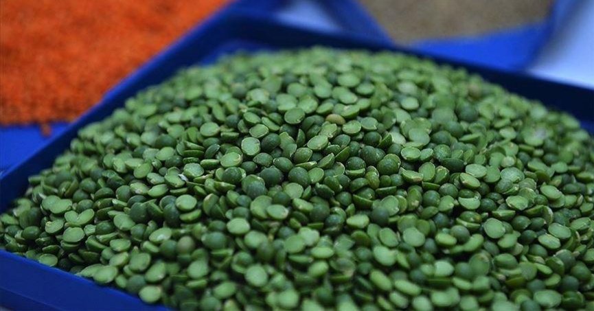 Yeşil mercimek ithalatında gümrük vergisi sıfırlandı
