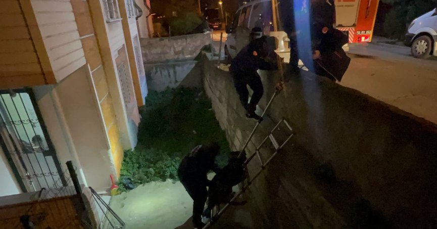 Bahçe duvarından düşen köpek kurtarıldı