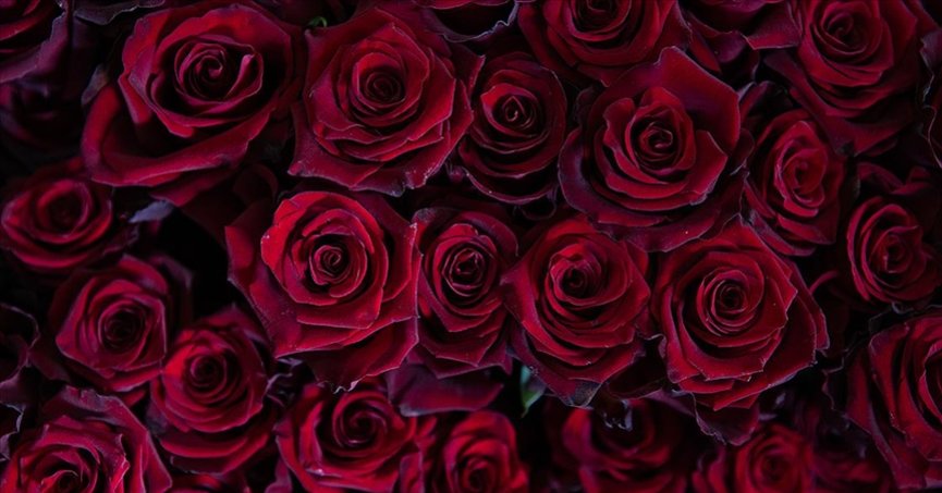 Gülde 5 yıllık ticaret hacmi 16,5 milyon dolar oldu