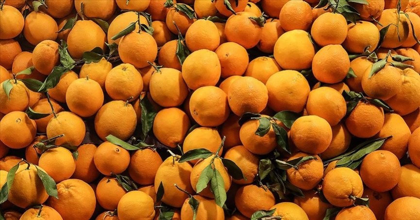 Narenciye ürünleri ihracatı, geçen yıl 1 milyar doları aştı