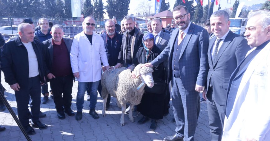 Büyükşehir’den üreticiye koç ve teke desteği