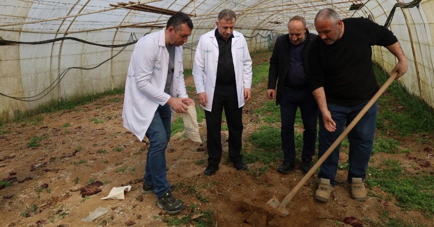 Büyükşehir’den örtü altı üreticiye destek