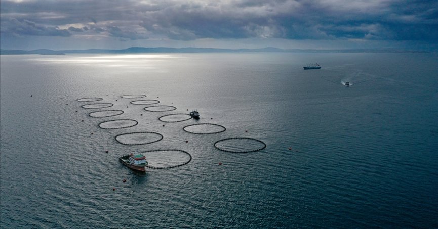 2023’te balıkçılıkta bir milyon tonla rekor kırıldı