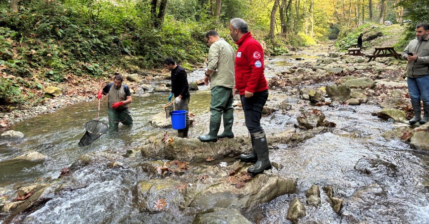 Büyükşehir’den dere ve tatlı sulara balık