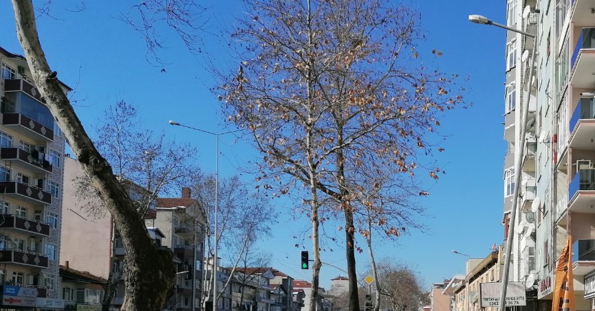 Eğilen direğe düzeltme gerekiyor