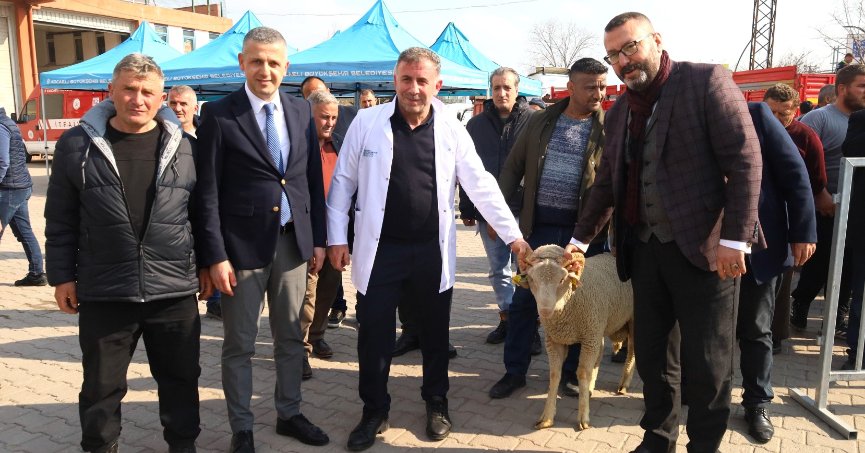 Büyükşehir’den 2. etap damızlık koç dağıtımı