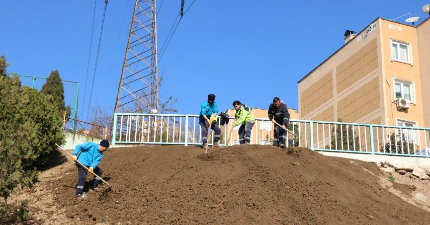 İstinat duvarı alanında yeşillendirme yapıldı