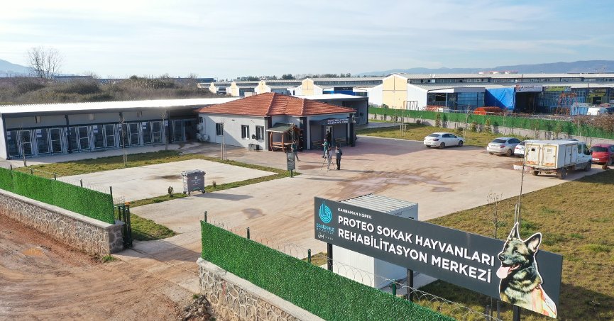 Bir yılda 3 bin 200 sokak hayvanına şifa olan merkez