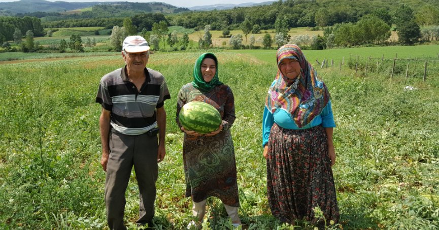 Üreticilere karpuz tohumu desteği