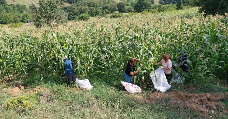 Desteklerle atıl araziler tarıma kazandırılıyor