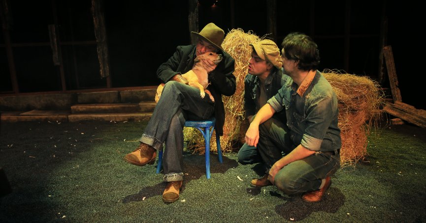 Sokaktan kurtarılan köpek “Şebo” tiyatro sahnesinde