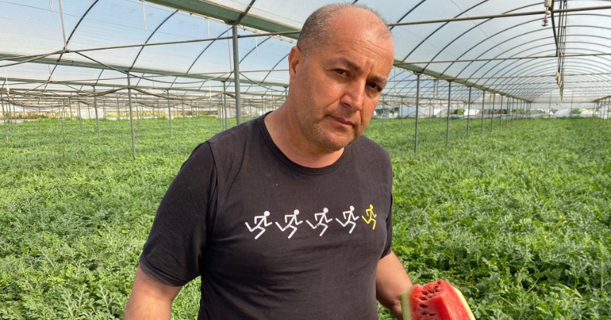 Sıcak hava karpuz hasadını öne çekti