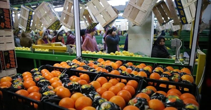 Tarım sektöründen ihracatta ilk çeyrek rekoru