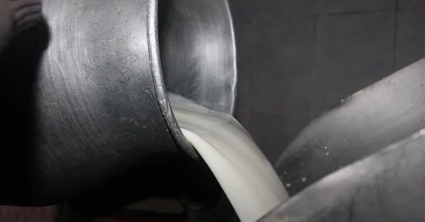 USK, çiğ süt tavsiye fiyatını belirledi