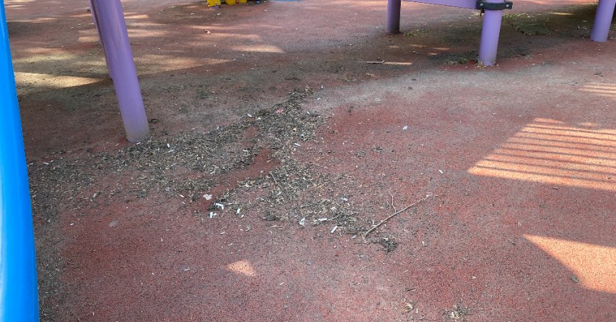 Parktaki kirlilik giderilmeli