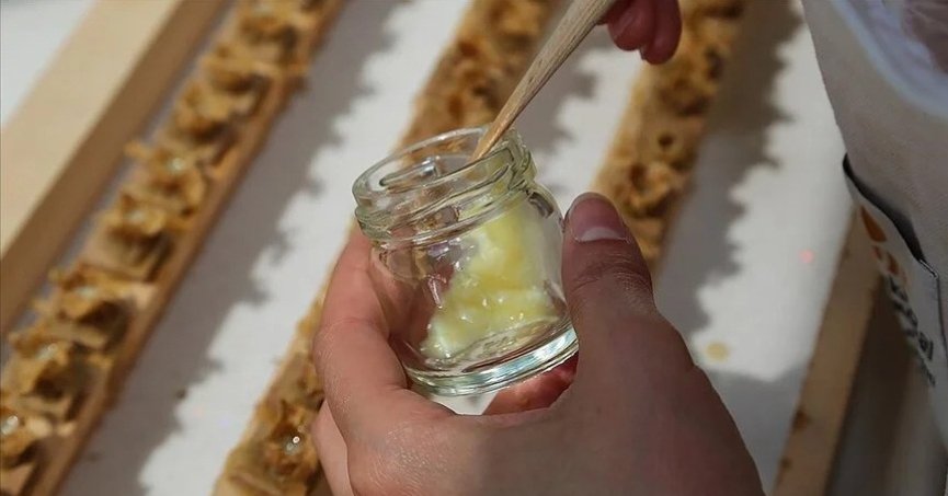 Arı sütü ve poleni gibi ürünlere başka madde eklenemeyecek