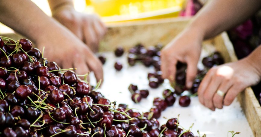 Türkiye, meyve üretiminde dünyada 4’üncü sırada
