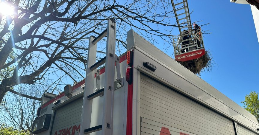 Leyleklerin yuvası yıkılmaktan kurtarıldı