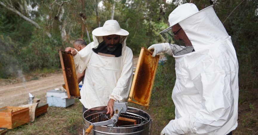 Adana’da bal hasadı başladı