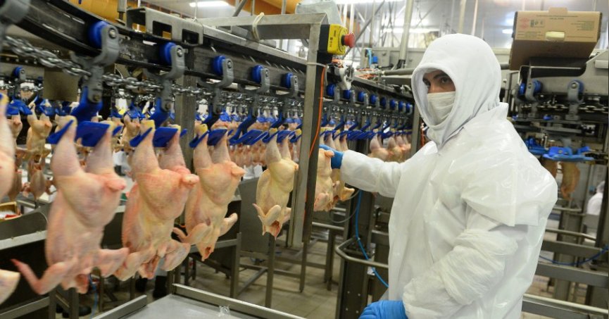 Tavuk eti üretimi martta yıllık yüzde 2,7 arttı